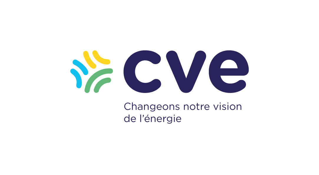CVE CVE
